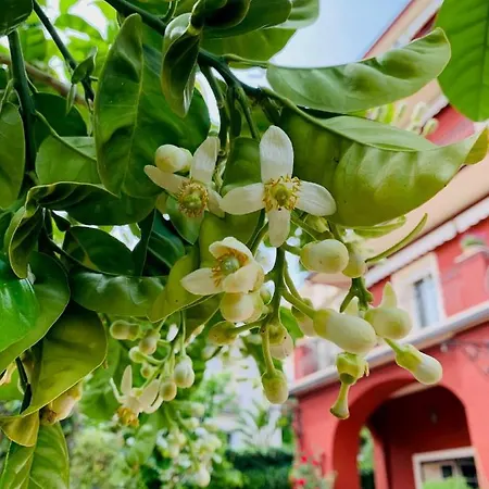 La Fabrique A Poupees - Et De Charme Au Coeur De Panzió 4*