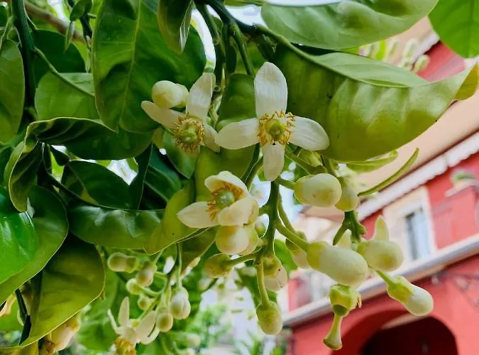 La Fabrique A Poupees - Et De Charme Au Coeur De Frühstückspension 4*